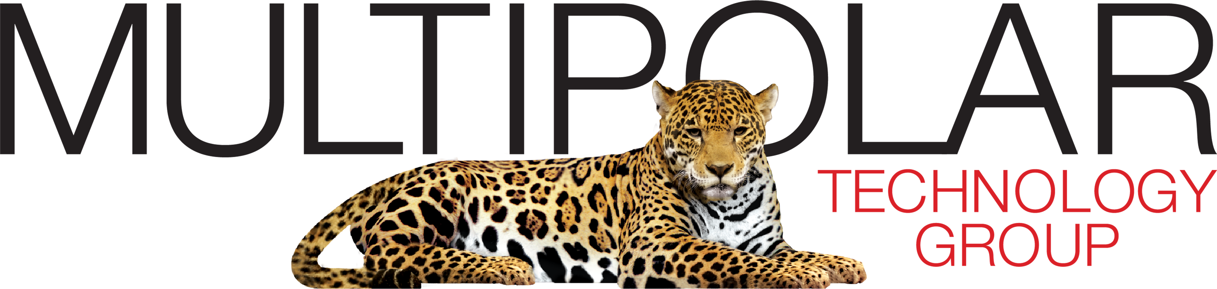 logo-Multipolar